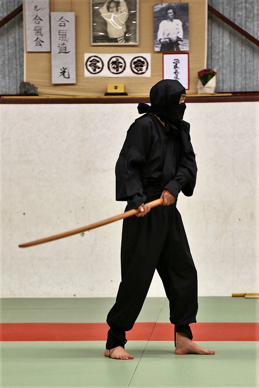 Ninja 13.jpg